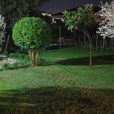 Di Bacco * أغروبولي