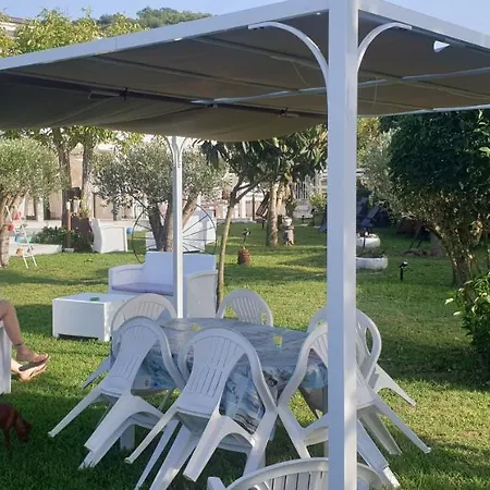 Di Bacco