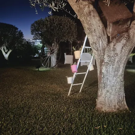 Di Bacco Lantställe