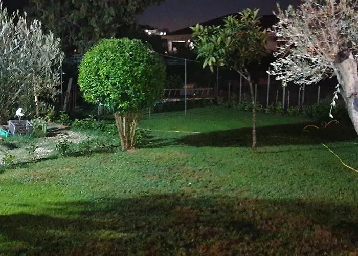 Di Bacco * Agropoli